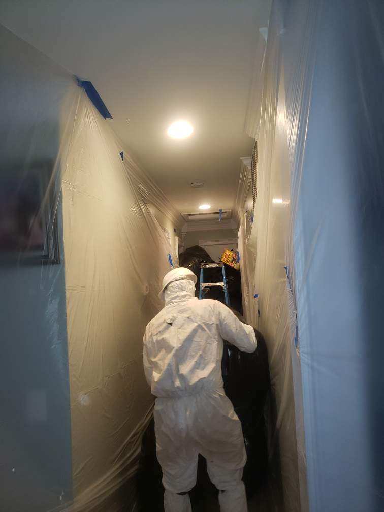 attic-mold-remediation-pg-county-maryland-superior-damage-restoration_