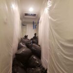 attic-mold-remediation-pg-county-maryland-superior-damage-restoration_