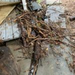 bethesda_maryland_water_emergency_flood_superior_damage_restoration_4