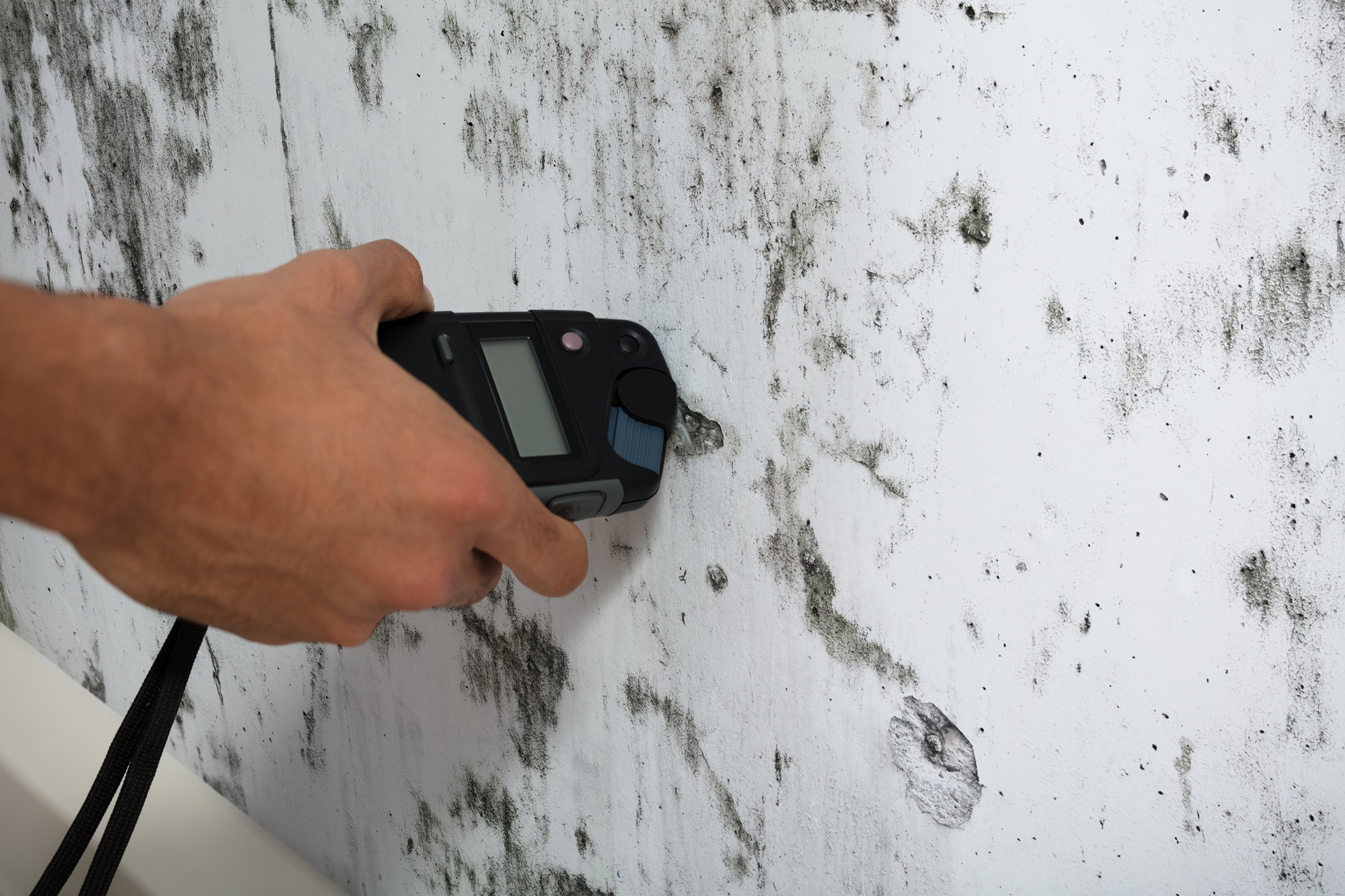mold testing