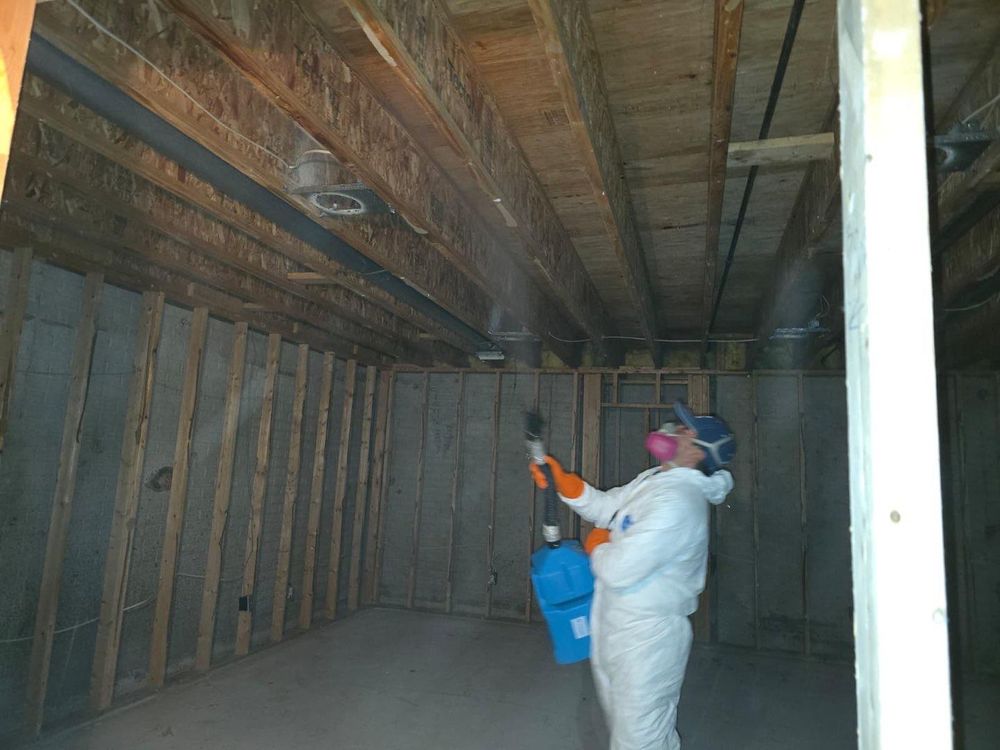 mold-treatment-1