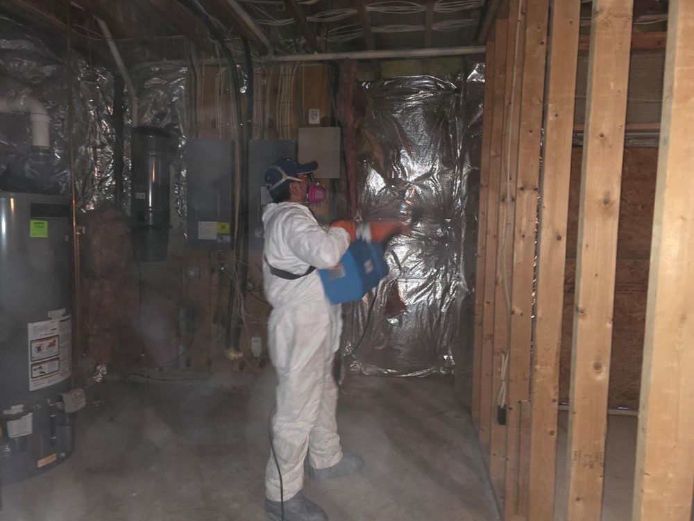 mold-treatment-2