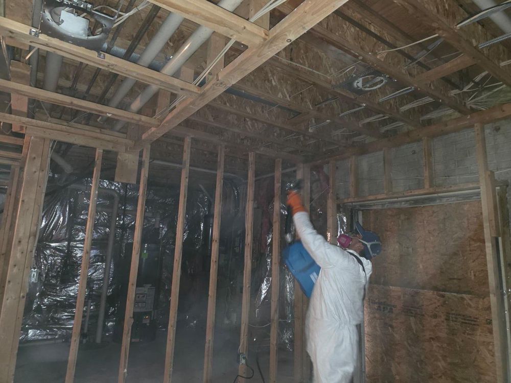 mold-treatment-3
